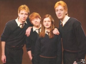 The-Weasleys-harry-potter-990652_400_298