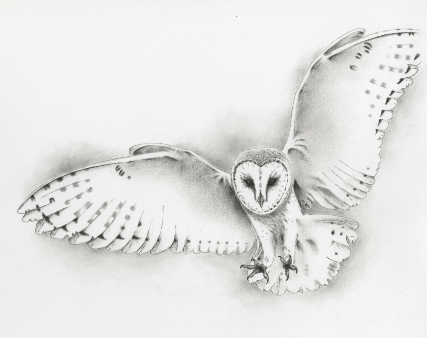 Details 211+ hedwig owl sketch super hot